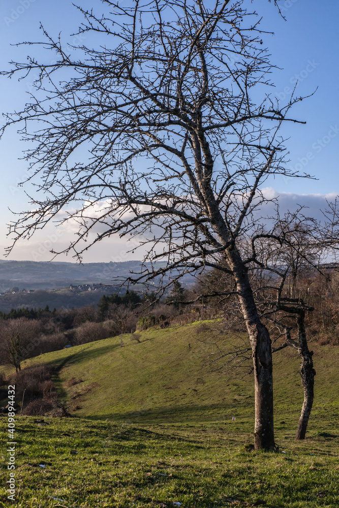 Voutezac (Corrèze, France) - Vue panoramique depuis Sajueix