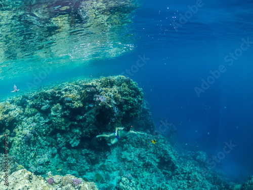 Young man dive at colorful coral reef in Red sea