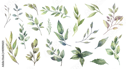 Watercolor floral illustration set - green leaf branches collection  for wedding stationary  greetings  wallpapers  fashion  background. Eucalyptus  olive  green leaves  etc. High quality illustration