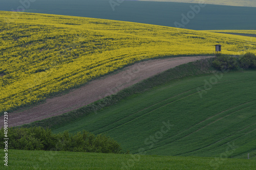 Spring fields in Kyjov region of Moravia  Czech Republic