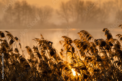 sunrice over Jaroslavice pond, Czech Republic photo