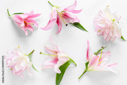 Beautiful lilies on white background