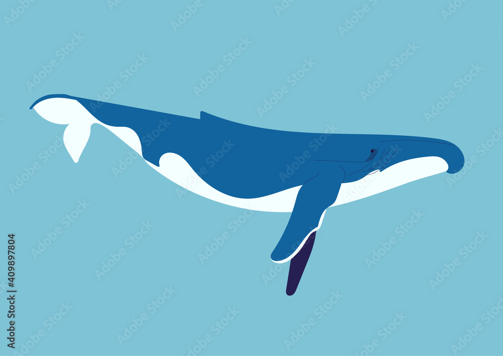 Obraz premium Baleine dans la mer