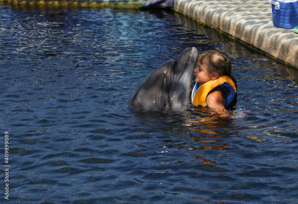 little girl and dolphin in the pool