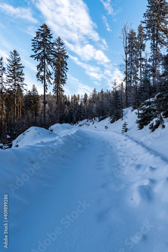 winter scenery with snow covered forest road, trees and blue sky with clouds