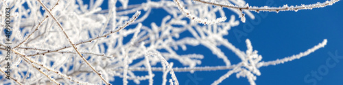 Banner winter landscape. Branches of trees covered with frost on blue sky background.