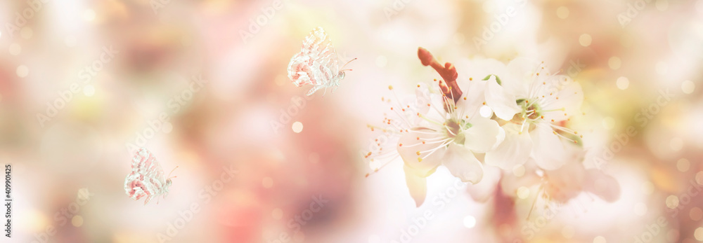 Spring blossom background. Beautiful nature scene with butterflies and tender white flowers blooming tree in sunny day. Banner with copy space Spring blossom background. Beautiful nature scene with butterflies and tender white flowers blooming tree in sunny day. Banner with copy space