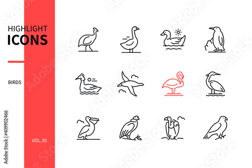 Bird species - modern line design style icons set