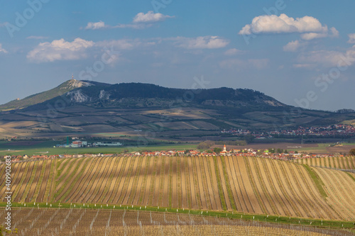 Spring landscape in Palava near Bavory, Southern Moravia, Czech Republic photo