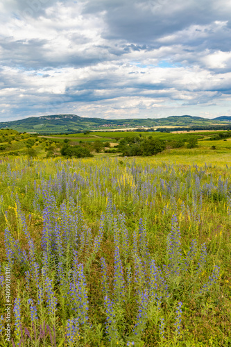 Spring landscape in Palava near Dolni Dunajovice, Southern Moravia, Czech Republic