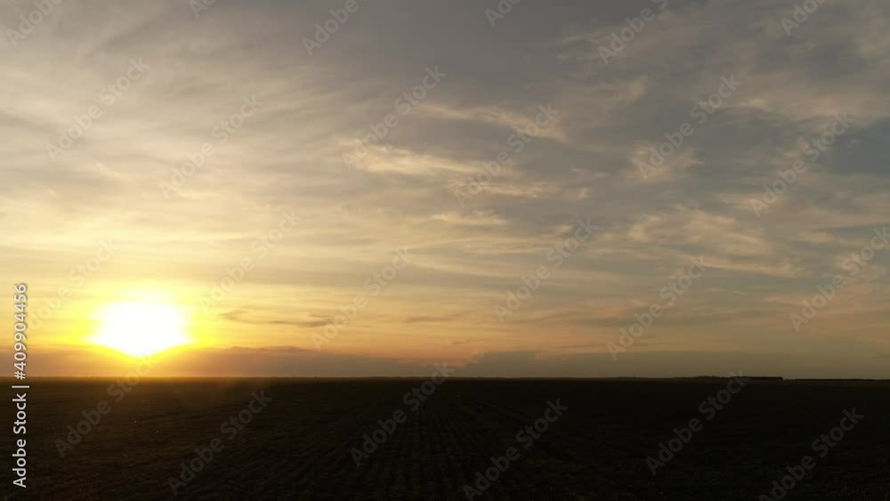 Agribusiness - Beautiful aerial image of soybean and cotton crops, small soybean leaves, details of soybean leaves, crops with sunset in the background, Agribusiness - Beautiful aerial image of soybean and cotton crops, small soybean leaves, details of soybean leaves, crops with sunset in the background,