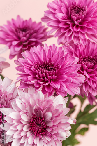 A close-up shot of a dahlia in full bloom