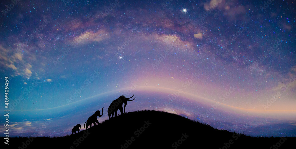 The silhouette of an elephant walking through the grass, on milky way background, With the compression artifact technique
