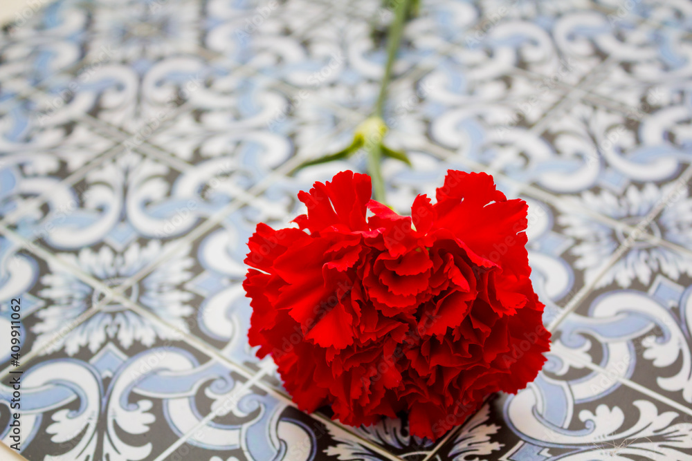 Red carnation on portuguese tiles Red carnation on portuguese tiles