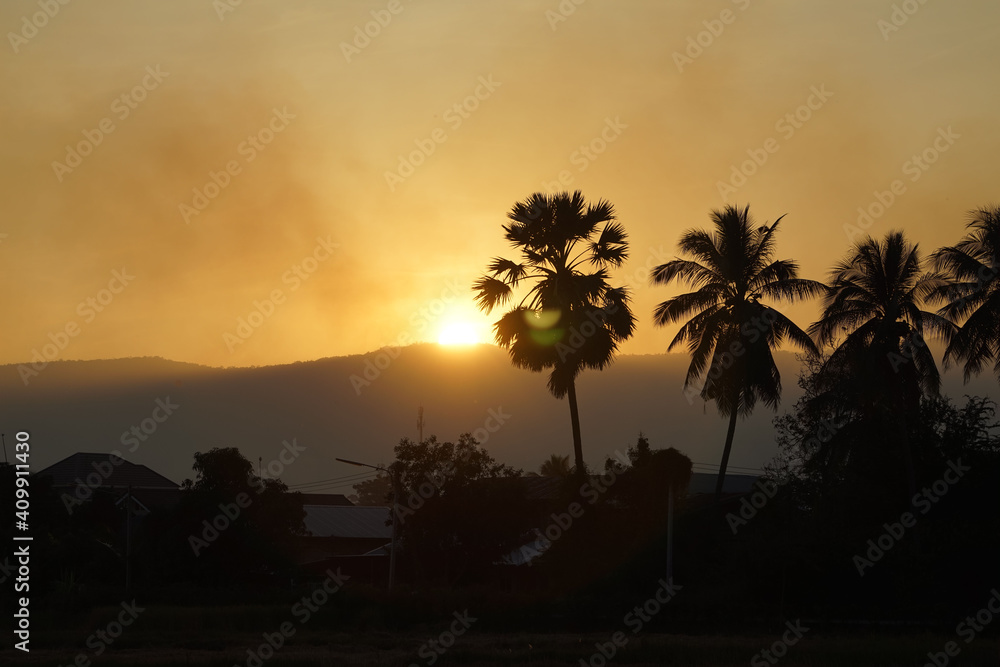 Beautiful sunset with palm tree and golden sky and the smoky soot produced by farmers' weed burning. All of these things cause toxic pollution.