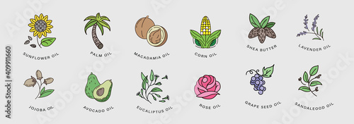Vector icon and logo for natural cosmetics oil care dry skin