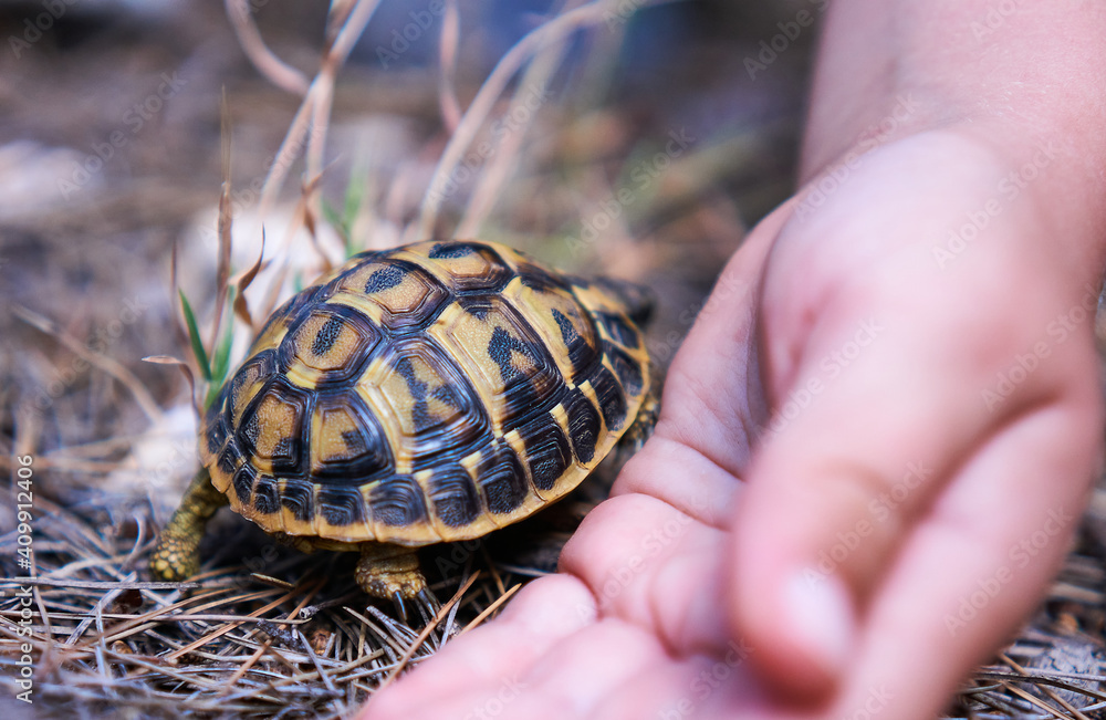 Protect wildlife Protect wildlife