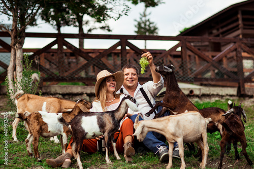 happy family, a man and a woman in a hat, relaxing and laughing on a farm, surrounded by goats, on a sunny day