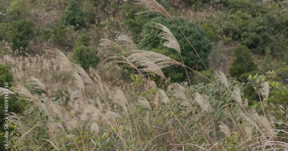 Beautiful mountain in autumn season Beautiful mountain in autumn season