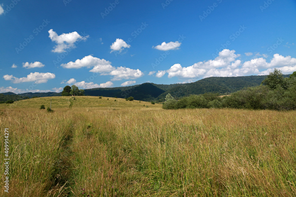 Landscape of Krywe - former and abandoned village in Bieszczady Mountains, Poland 