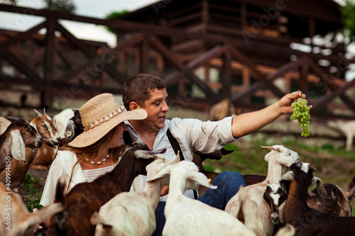 happy family, a man and a woman in a hat, relaxing and laughing on a farm, surrounded by goats, on a sunny day