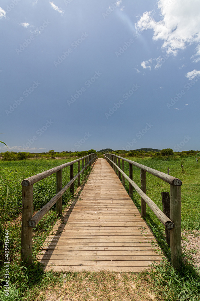 Path walk to the beach towards the grass