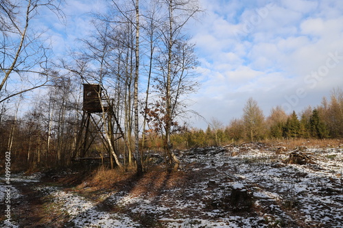 person in the woods