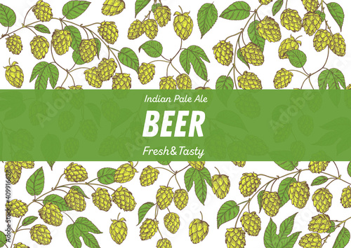 Beer hop illustration. Hand drawn design. Beer ingredients vector illustration.