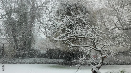 Lots of snow fall on trees and garden Wide Shot. Day time UK Borehamwood Elstree North London photo