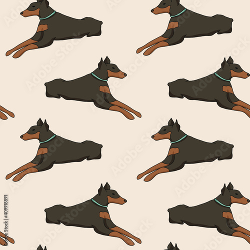 Seamless pattern with doberman dog