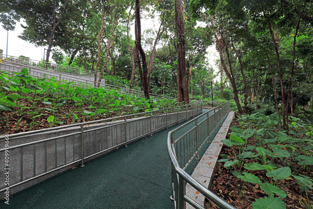 Shade plant area trail architecture landscape in Yuexiu Park, Guangdong Province, China
