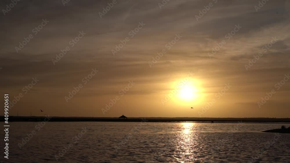 En las Aves volando sobre la puesta de sol en las marismas.marismas En las Aves volando sobre la puesta de sol en las marismas.marismas
