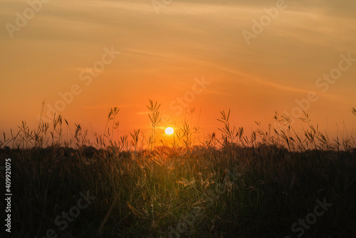 sunset in the field © niphon