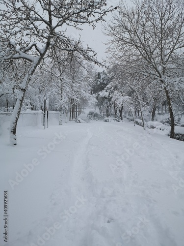 pathway covered with snow in the park © mirebel