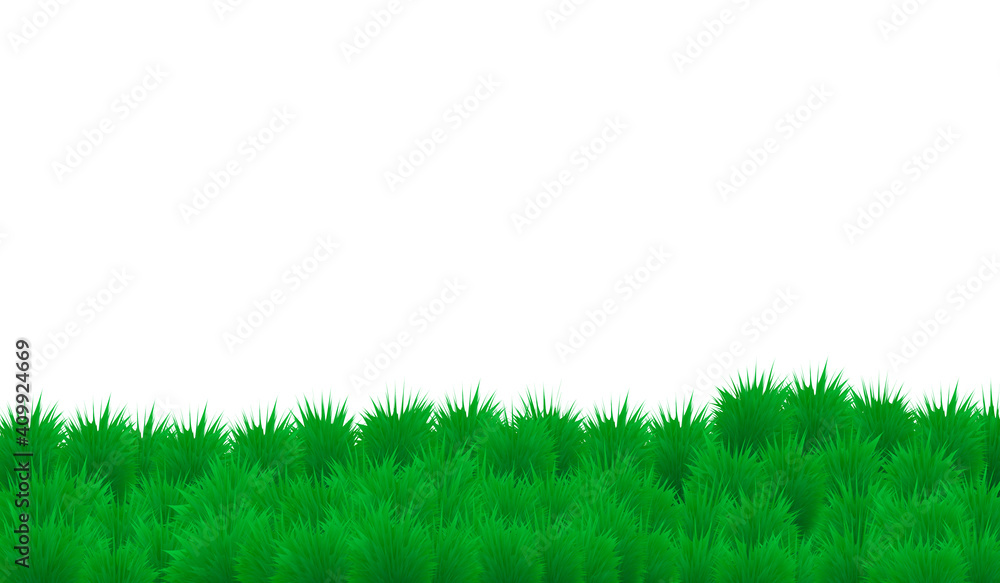 green color grass land on white background green color grass land on white background