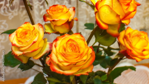 Yellow-orange roses in a bouquet closeup