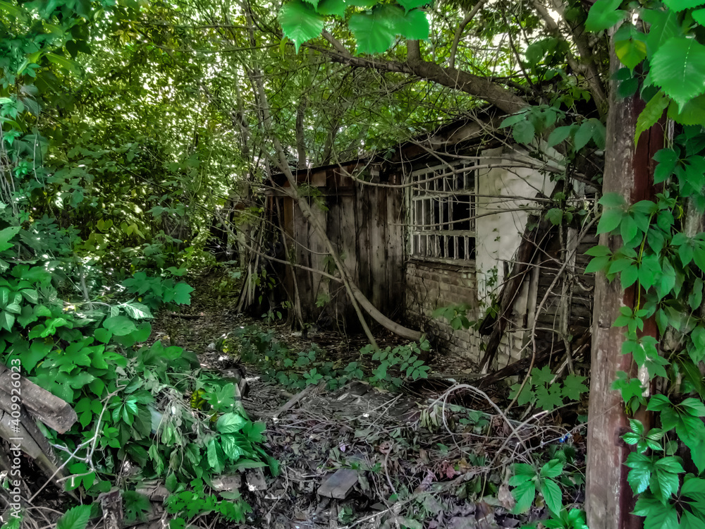 Ruins of an abandoned hut in the thickets in Putivl (Sumy region, Ukraine). Remains of an old ruined residential house among green nature on a sunny summer day Ruins of an abandoned hut in the thickets in Putivl (Sumy region, Ukraine). Remains of an old ruined residential house among green nature on a sunny summer day