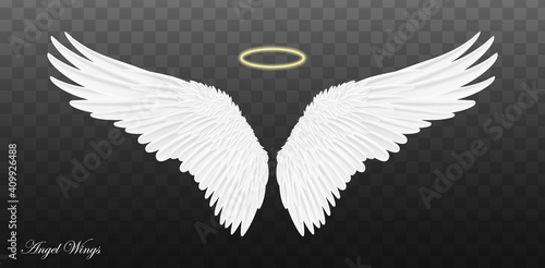 Pair of beautiful white angel wings isolated on transparent background. Vector concept white cute feathered wing animal on a transparent background.