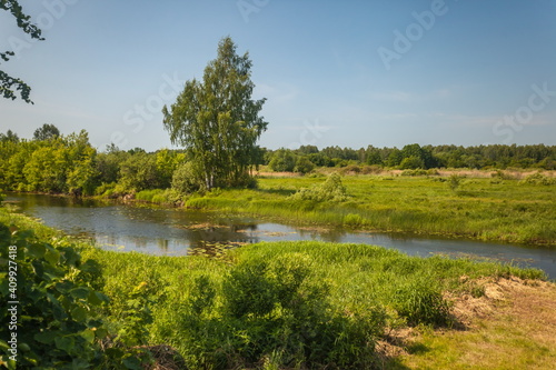 Landscape with river, birch, trees, shrubs and grass against blue sky in summer