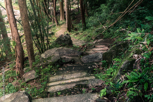 Concrete stairs trail in the forest. Cement hiking walkway in the garden.