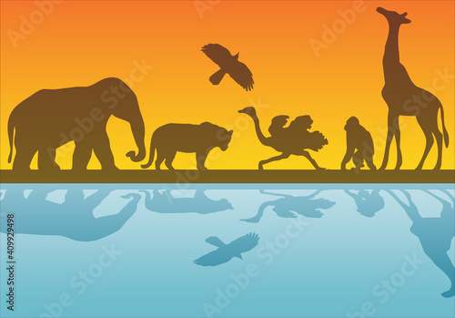 Silueta de fauna salvaje en el atardecer.