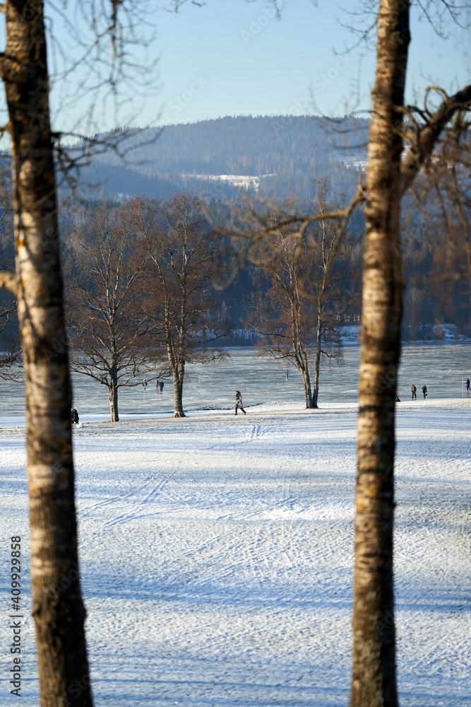 Walking for just the walk is a favorite activity in Norway. Families are gathering at the frozen lake for skating and having fun. It is a cold Sunday in January . Walking for just the walk is a favorite activity in Norway. Families are gathering at the frozen lake for skating and having fun. It is a cold Sunday in January .