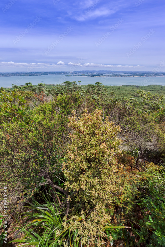 Φωτογραφία View of Auckland Region and Hauraki Gulf in New Zealand