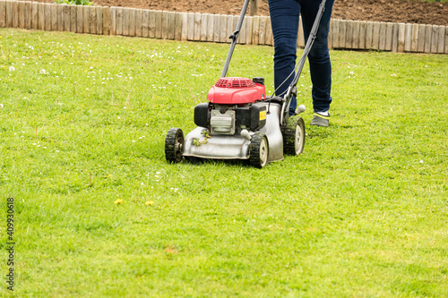 a woman mows her green lawn in summer