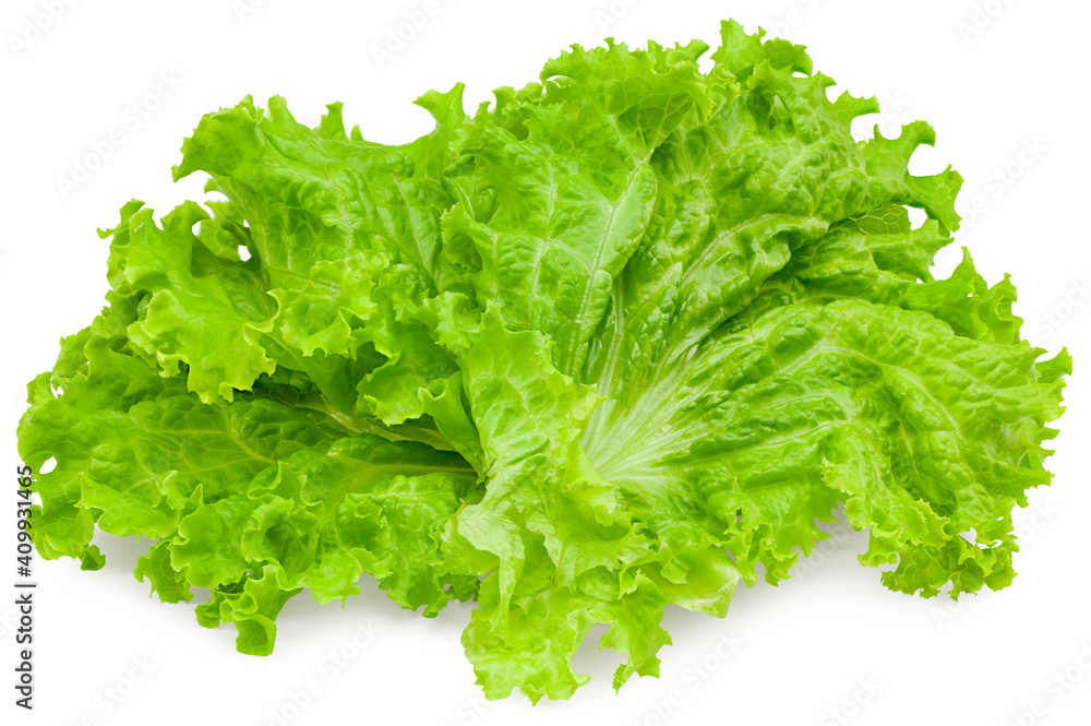 one salad leaf isolated on a white background. full depth of field. clipping path one salad leaf isolated on a white background. full depth of field. clipping path