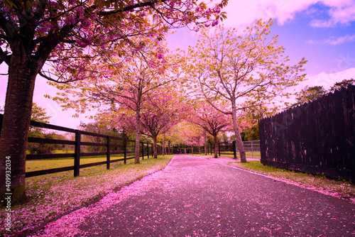 Spring time