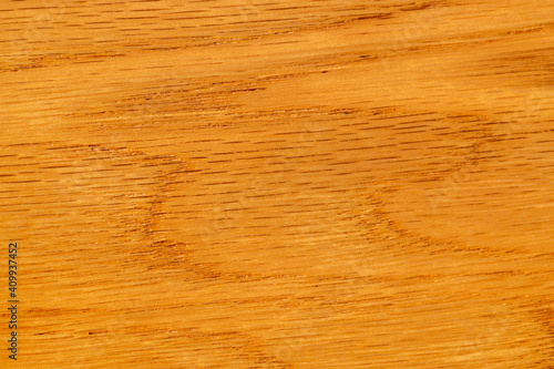 Close-up Oak Texture with natural wood grain patterns. Smooth wooden surface for the design of facades and floors. Clear polish. Ash for template background