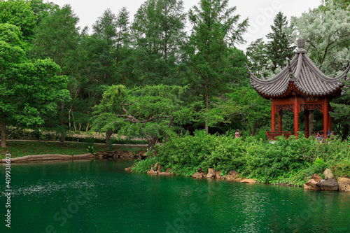 Wallpaper Mural My art Torontodigital.ca