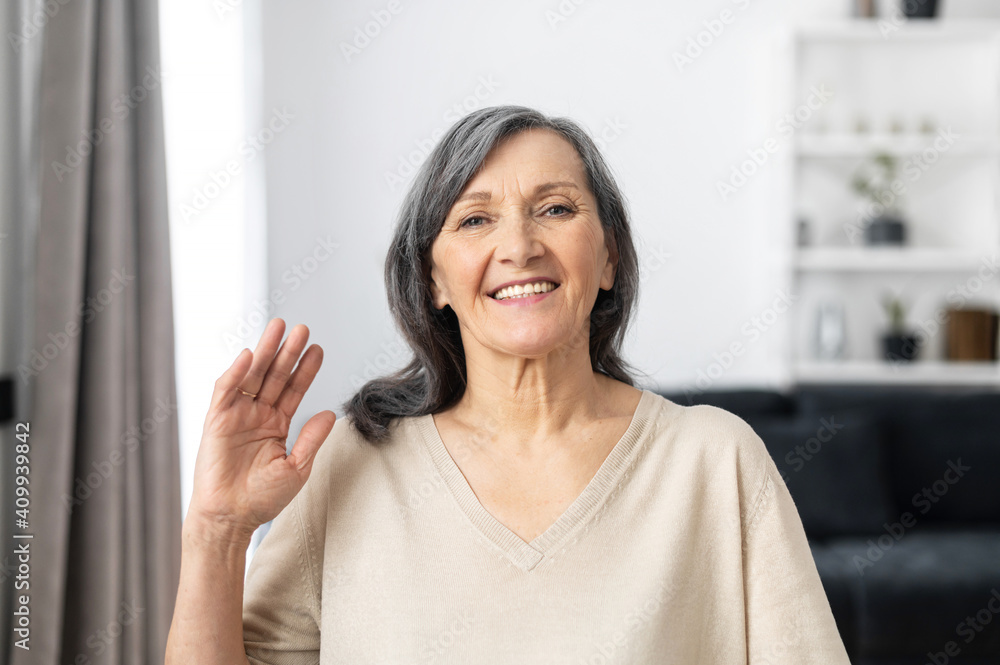 Webcam view of a smiling senior woman waving hello into the camera, older  female teacher look at camera conducts online lesson, webinar. Video  meeting with a grey-haired grandmother Stock Photo | Adobe
