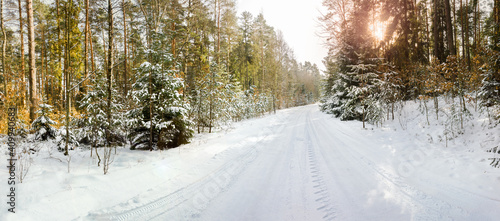 Fototapeta Naklejka Na Ścianę i Meble -  leśna droga na Mazurach w północno-wschodniej Polsce